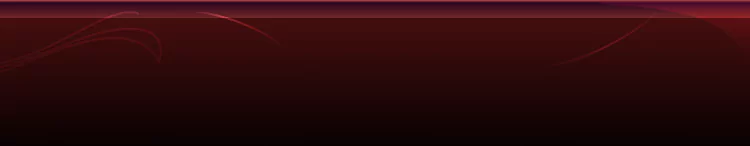 background category section